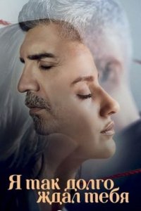 Я так долго тебя ждал турецкий сериал